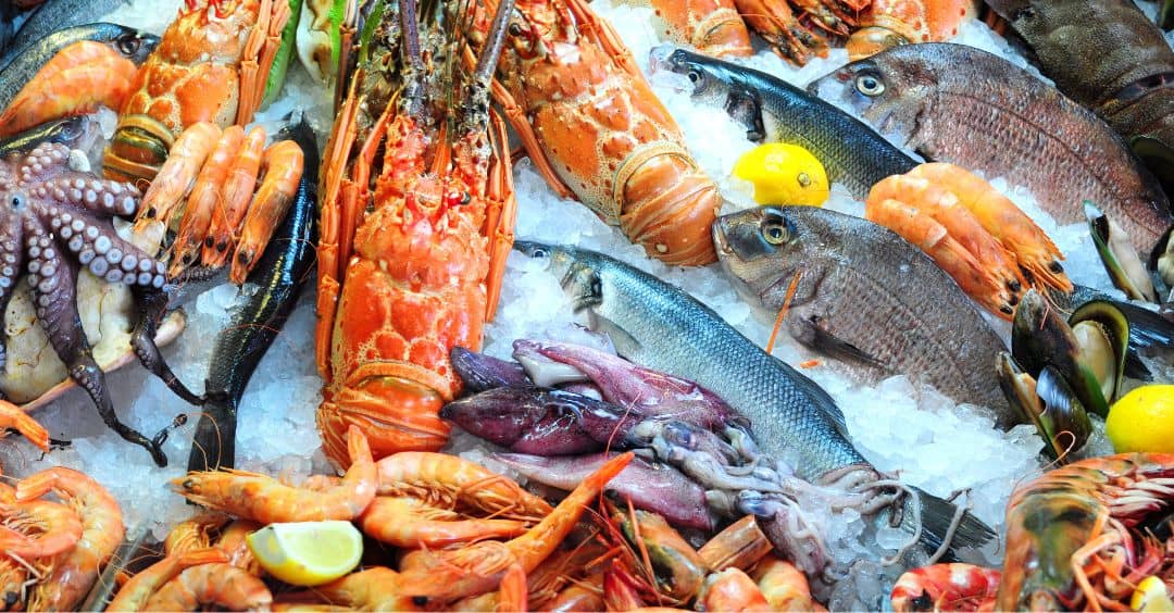 5 Tipps: Fisch & Meeresfrüchte in den Speiseplan integrieren
