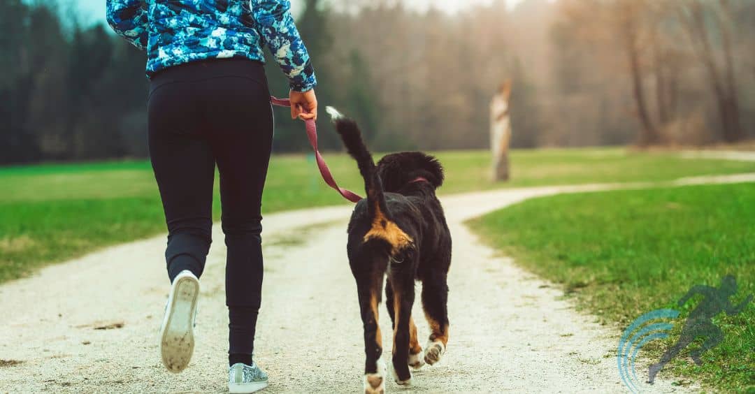 spazieren gehen mit hund